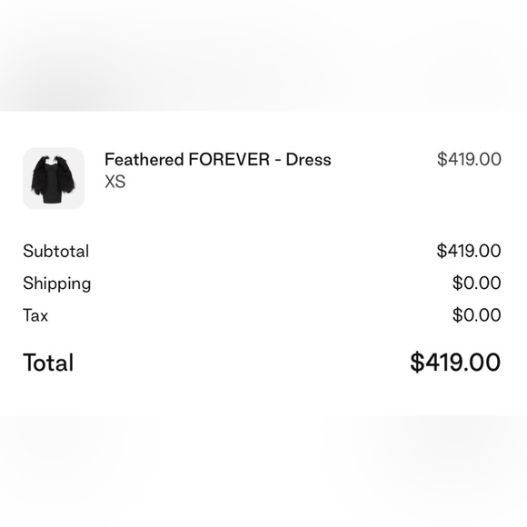 The BRAND Label Feathered FOREVER Dress (black) - Picture 5 of 8